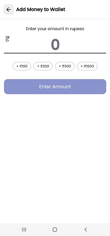 billhub enter amount