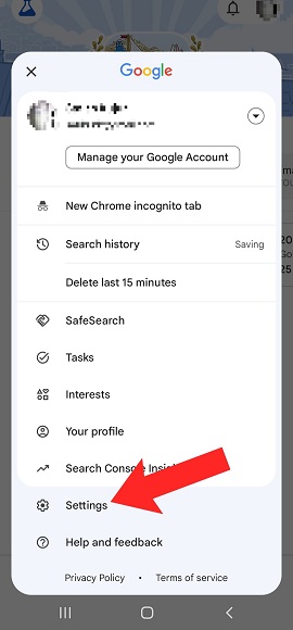 Google app setting