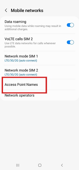 Accessing Access Point Names setting